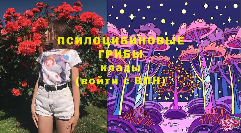 Галлюциногенные грибы Cubensis  OMG зеркало  Навашино 